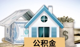 揭秘网络借款平台：深度解读借款网站运作机制