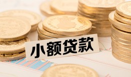 成都都江堰市哪里有小额贷款-成都都江堰市身份证贷款平台-成都都江堰市民间短借